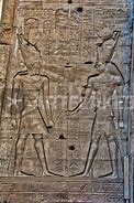 Image result for Egyptian Hieroglyphics Poster