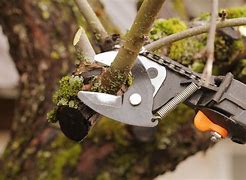 Image result for Samsung Tools for Trees