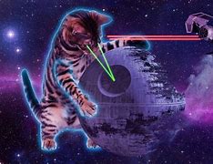Image result for Space Cat Wallpaper 1080P