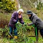 Image result for Helpful Ideas for Seniors