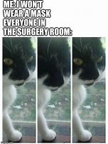 Image result for Eye Surgery Cat Meme