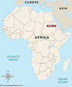 Image result for African Kush