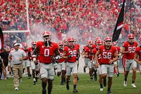 Image result for Georgia Bulldogs Football Game
