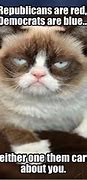 Image result for Angry Kitty Meme