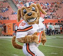 Image result for Chomps the Dog Cleveland Browns