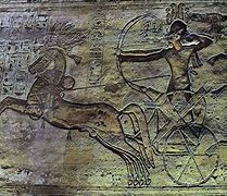 Image result for Egyptian History Horses