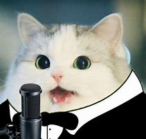 Image result for Clown Tuxedo Cat Meme