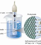 Image result for Electrochemical Cell Potential