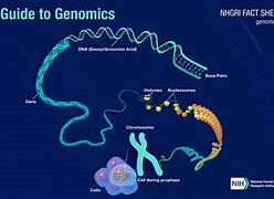 Image result for Genome Biology