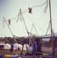 Image result for Bungee Fun