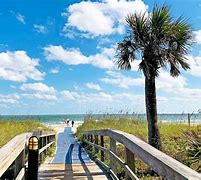 Image result for Amelia Island Beach Pics