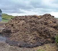 Image result for Muck Thumbnail