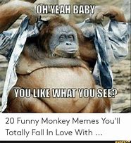 Image result for Monkey Meme Ladder