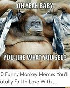 Image result for Monkey Summer Chillin Meme
