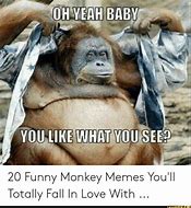 Image result for Weird Monkey Meme