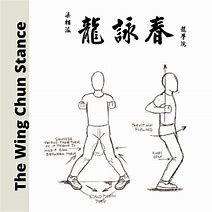 Image result for Wing Chun Techniques