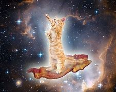 Image result for 1080P Galaxy Cat Wallpaper