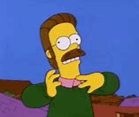 Image result for Ned Flanders OK