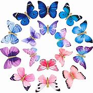 Image result for Butterfly Snap Clip Hair Rainbow