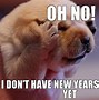 Image result for Born On New Year Meme