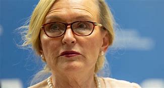 Image result for co_oznacza_zille