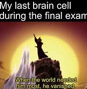 Image result for Exam Brain Cells Meme