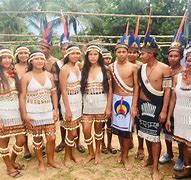 Image result for Indigenous South America