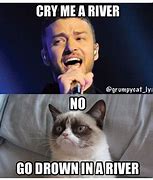 Image result for Cat Crying Meme Shower
