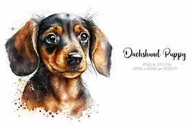 Image result for Dachshund Watercolor