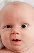 Image result for Serious Baby Face Meme