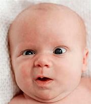 Image result for Funny Baby Face Meme