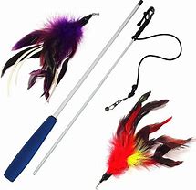 Image result for Cat Feather Toys