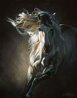 Image result for Equine Art Horse