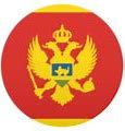Image result for Montenegrin Flag