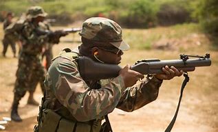 Image result for U.S. Army M79