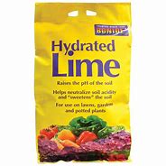 Image result for Hydrated Lime Powder for Fishpond Soil