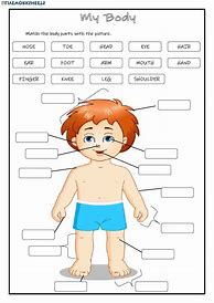 Image result for Human Body Worksheets Grade 2