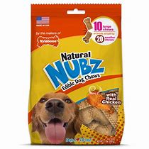 Image result for nylabone dogs chew