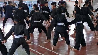 Image result for Bengkung Silat