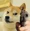 Image result for Doge Meme Format