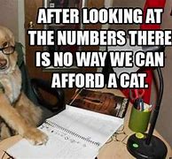 Image result for Funny Dogs with Words