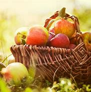 Image result for Autumn Hugge Apple's