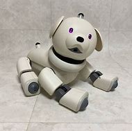 Image result for Aibo Ers Latte