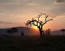 Image result for Tanzania Sunset