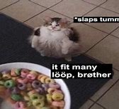 Image result for Loops Cat Meme