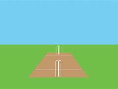Image result for 2D Cricket Field