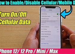 Image result for iPhone SE How to Turn On Cellular Data for Email