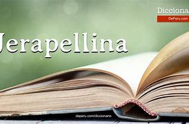 Image result for jerapellina