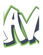 Image result for Dallas Mavericks Green Logo