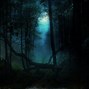Image result for Dark Woods Art
